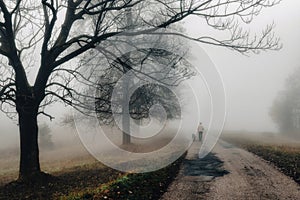 A man walking with a dog on a road in foggy autumn park in the morning