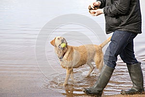 Man walking dog in Scottish Loch