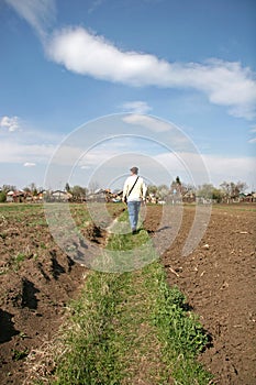 Man Walking Through Farm Field