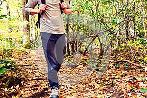 Man walking on a forest path