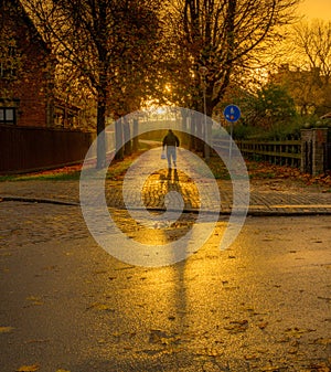 Man walking into the golden sunset on a cobblestone road casting a long shadow