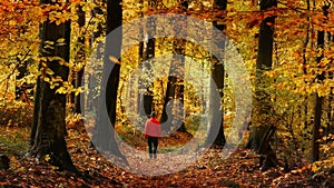 Man walking in gorgeous autumn forest