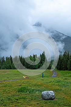 A man walking in a green field with his dog with misty mountains and trees in background