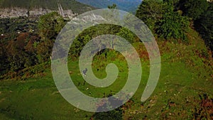 Man is walking on green grass meadow among Mingrelia mountains in Georgia filmed by drone
