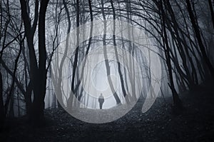 Man walking in Halloween mysterious forest with fog