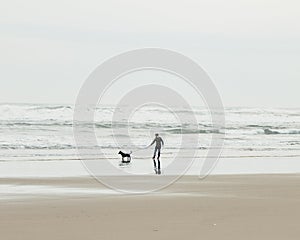 Man walking his dog on the beach with waves ocean background