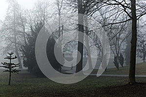 Man Walking His Dog Through Dark Misty City Parkland