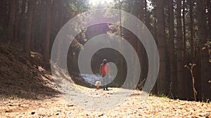 Man walking with his dog in forest lit by sunlight