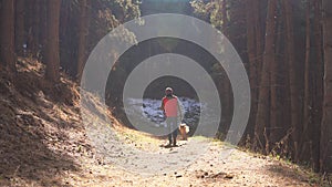 Man walking with his dog in forest lit by sunlight