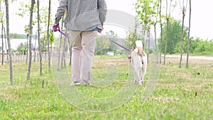 man walking his dog in the park in the morning