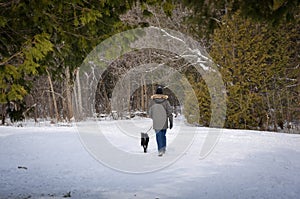 Man walking his dog in winter