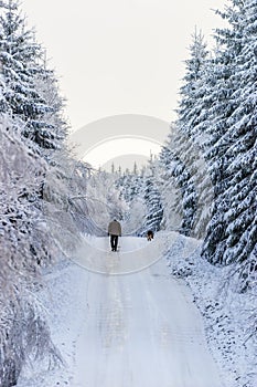 Man walking with his dog on a winter road in the woods