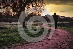 A man walking on an idylic country path with the sun in the distance