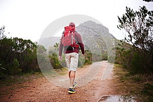 Man, walking and mountain with bag in nature, Germany trail on wildlife conservation. Active, male person on adventure