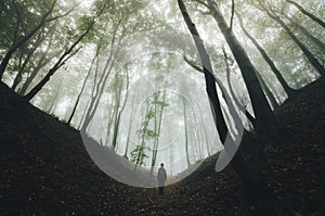Man walking in mysterious forest with fog