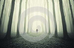 Man walking in a mysterious symmetrical forest with fog