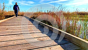 Man walking over a wood path, in the wetlands natural park La Marjal in Pego and Oliva