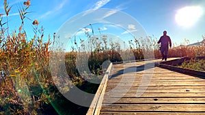 Man walking over a wood path, in the wetlands natural park La Marjal in Pego and Oliva