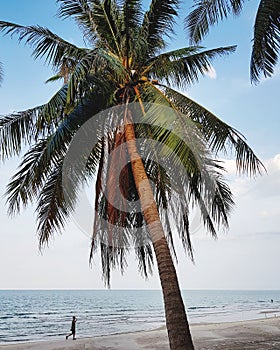 Man walking on paradise beach