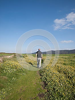 Man walking in a path in the middle of meadow