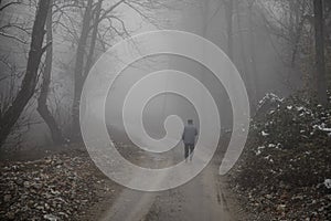 man walking on a path in a strange dark forest with fog