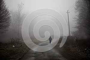 man walking on a path in a strange dark forest with fog