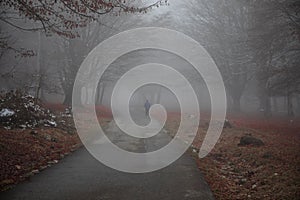 Man walking on a path in a strange dark forest with fog