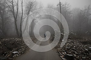 man walking on a path in a strange dark forest with fog