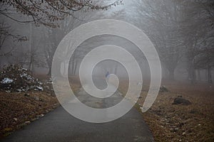 Man walking on a path in a strange dark forest with fog