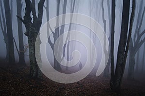 Man walking in scary forest with fog