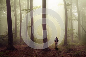 Man walking in scary forest with fog.