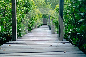 Man is walking on small wood bridge to nature walk way