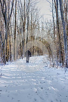 A man walking on a snowy trail, after the first snow, in a wooded area