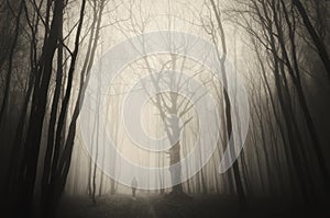 Man walking in spooky forest with fog on Halloween