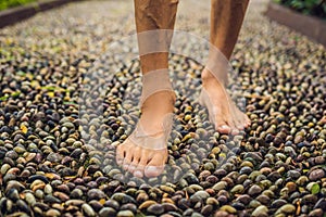 Man Walking On A Textured Cobble Pavement, Reflexology. Pebble s