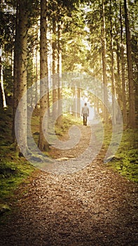 Man walking up path towards the light in magic forest.