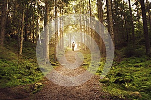 Man walking up path towards the light in magic forest.