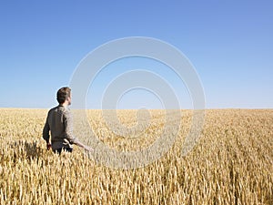 Muž v pšenica 