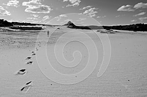 Man walks alone in desert