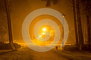 Man walks alone at night in a suburban Park.