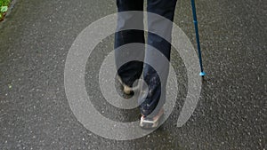 A man walks on the asphalt with a tracking stick, only legs are visible