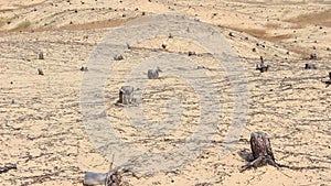 A man walks through the desert