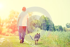 A man walks with a dog along a path in the field