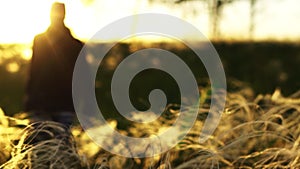 A man walks on a field at sunset