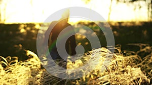 A man walks on a field at sunset