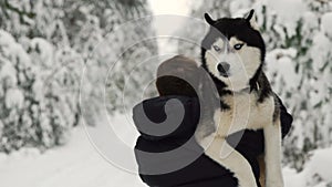 A man walks through the forest and carries a dog in his arms. Siberian husky in the forest man helps to bring the dog