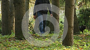 Man walks in forests with his dog, autumn. concept healthy lifestyle