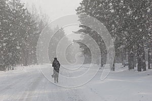A man walks on a road in the woods in winter