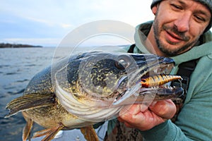 Man Walleye Fishing Crankbait Lure photo