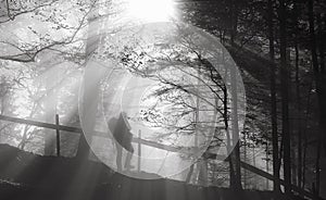 Man wandering into the forest